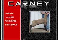 Carney Club Lambs